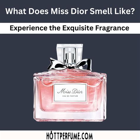 miss dior l eau|what does miss dior perfume smell like.